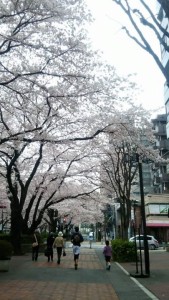 4月1日