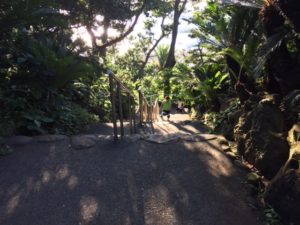 合宿2日目2